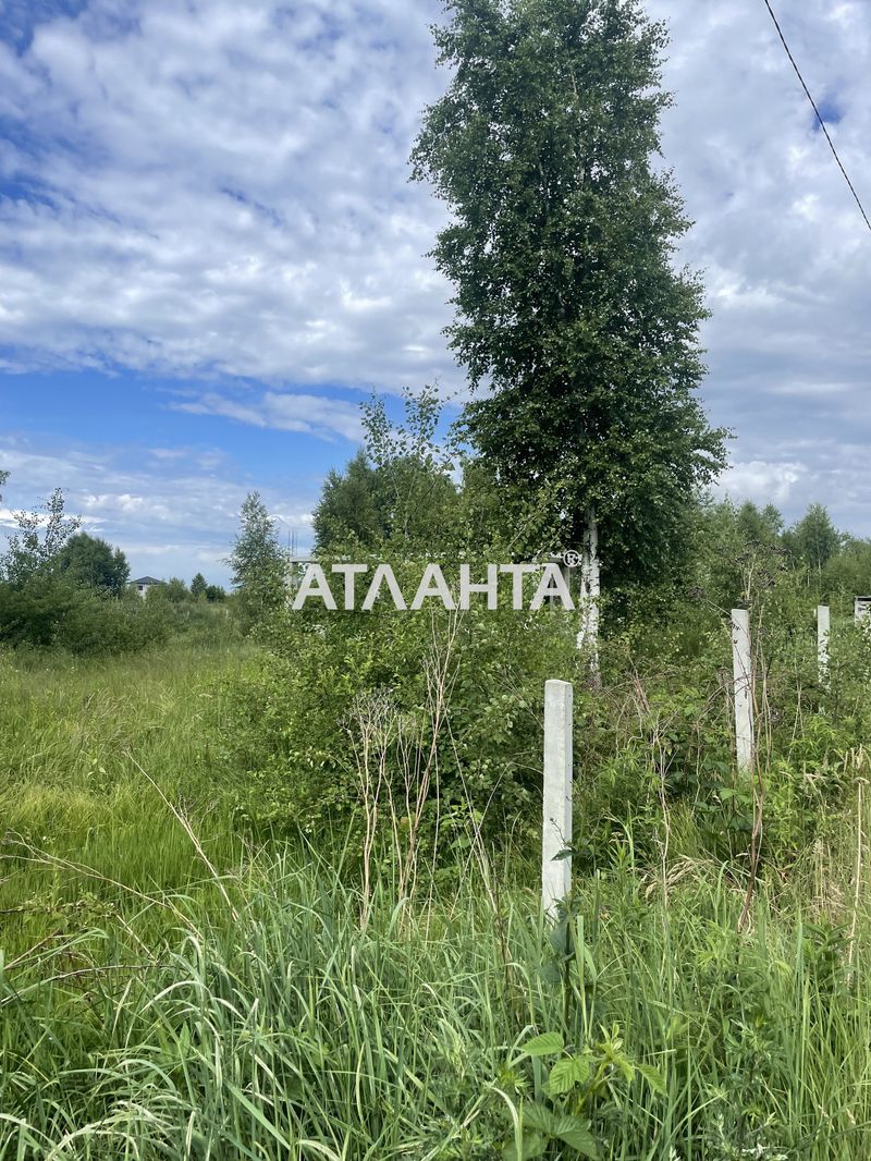 Участок по адресу (площадь 8 сот) - Atlanta.ua - фото 3