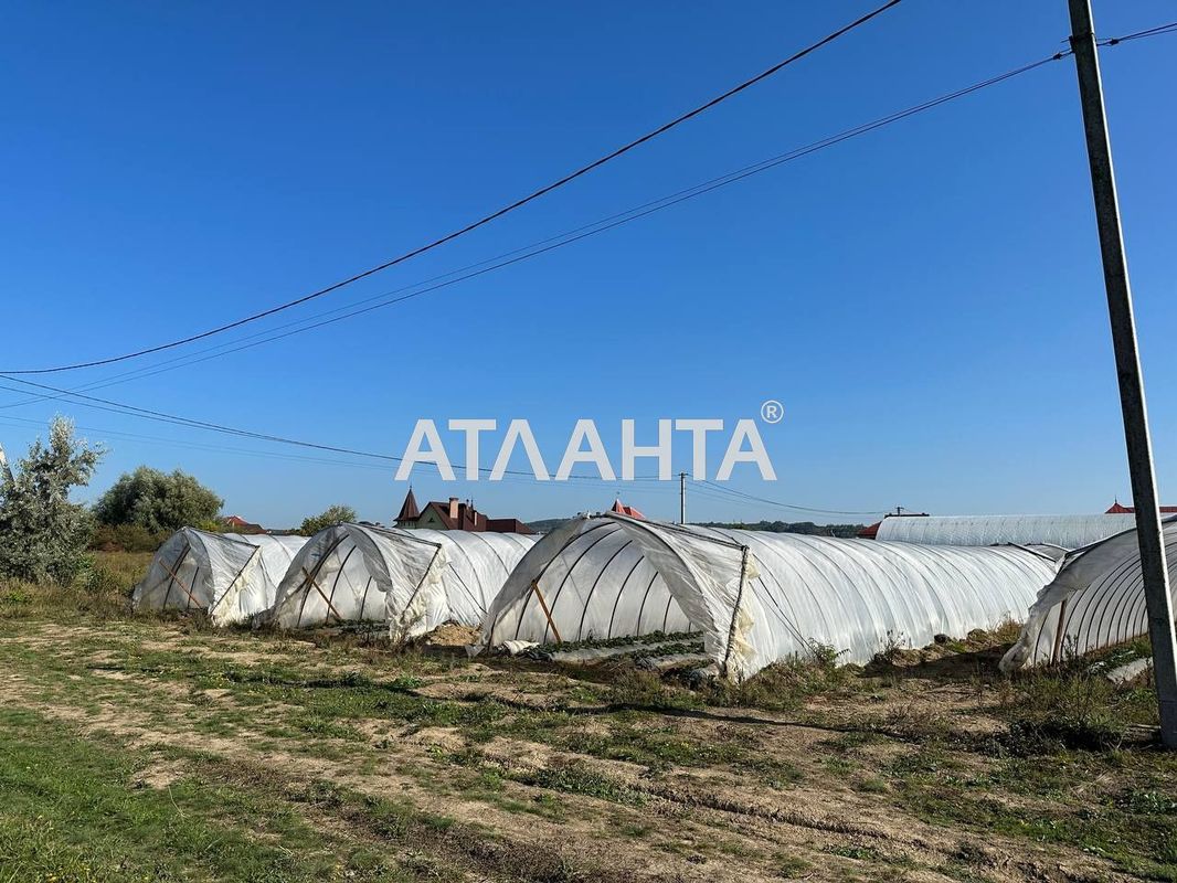 Landplot by the address (area 18 acr) - Atlanta.ua - photo 2