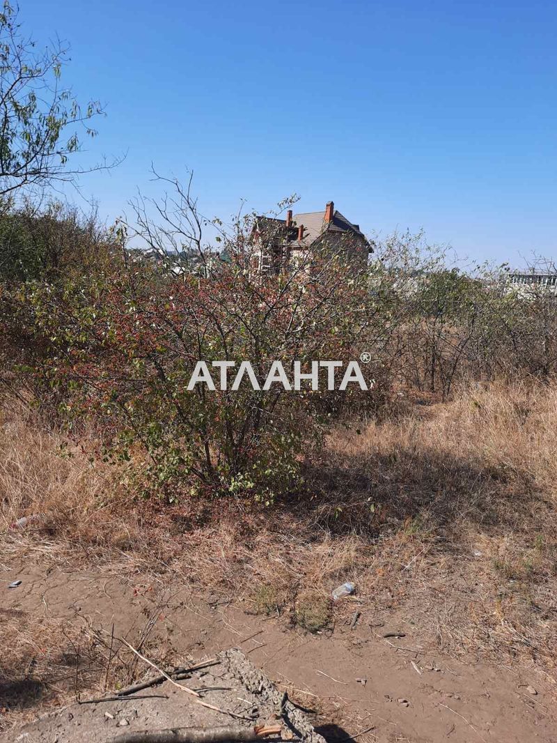 Landplot by the address (area 12 acr) - Atlanta.ua - photo 2