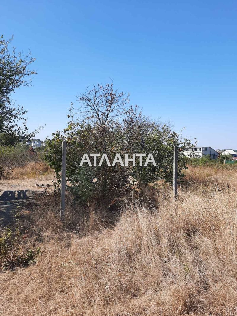 Landplot by the address (area 12 acr) - Atlanta.ua - photo 3