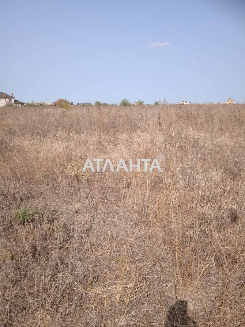 Landplot by the address st. Chernovola (area 8 acr) - Atlanta.ua - photo 5