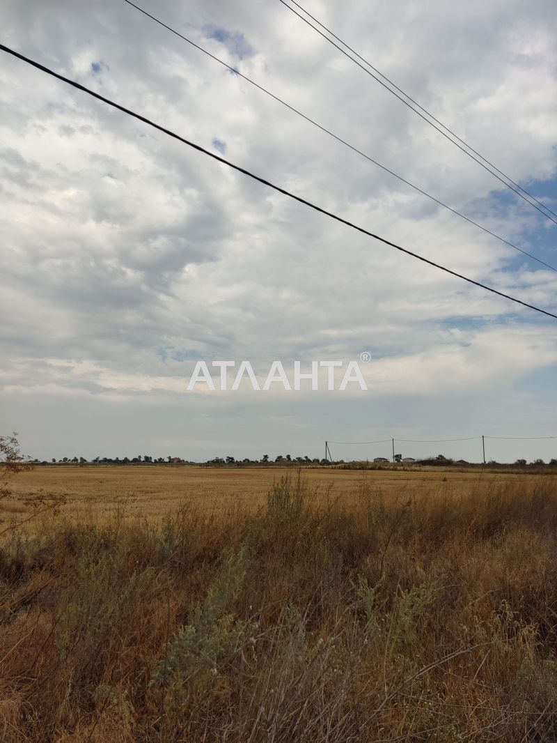 Ділянка за адресою (площа 10 сот) - Atlanta.ua - фото 2