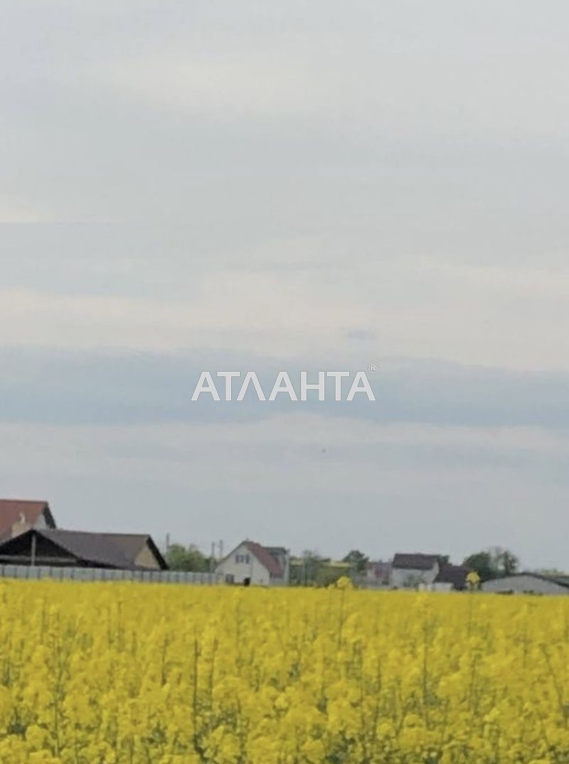 Участок по адресу ул. Журавлынна (площадь 5 сот) - Atlanta.ua - фото 2