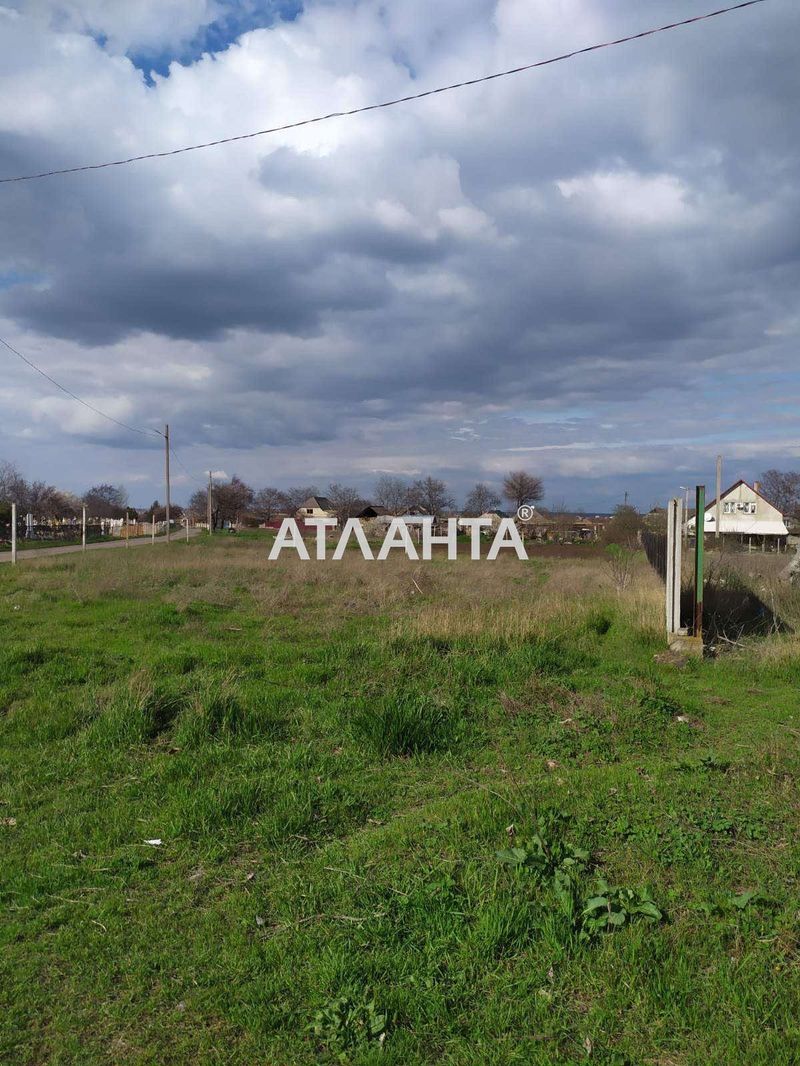 Landplot by the address st. Vinogradnaya (area 8 acr) - Atlanta.ua - photo 4