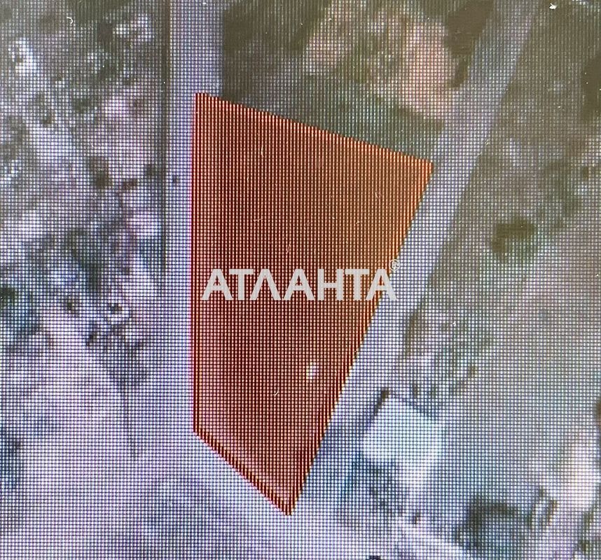 Landplot by the address st. Vinogradnaya (area 8 acr) - Atlanta.ua - photo 5