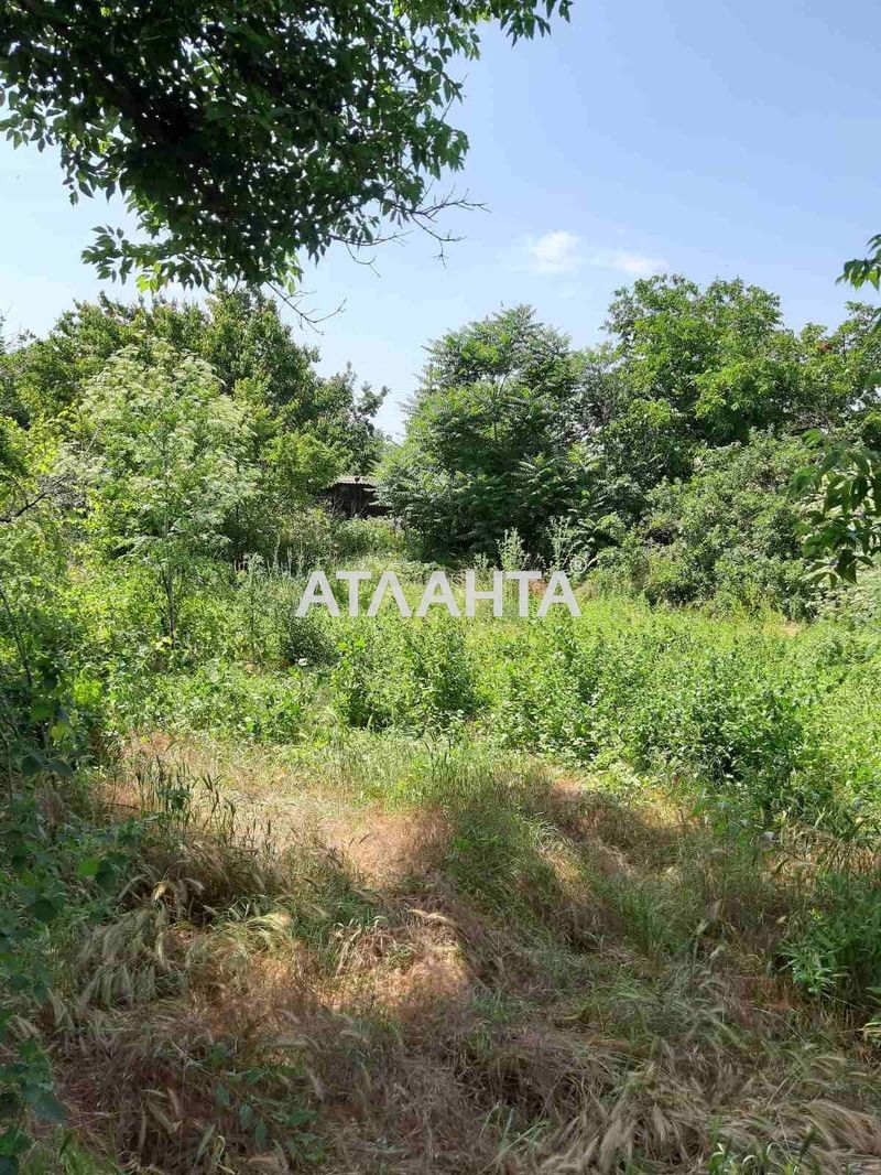 Участок по адресу ул. Шевченко (площадь 9,3 сот) - Atlanta.ua - фото 4