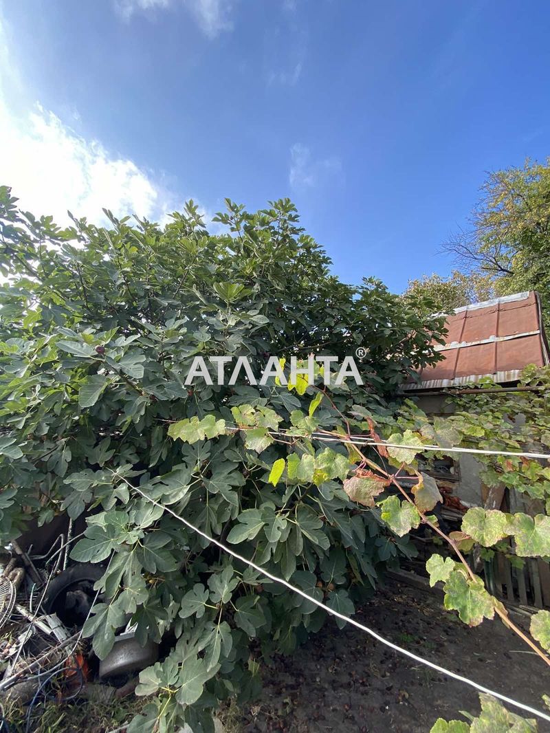 Дом по адресу ул. Енисейская (площадь 80 м²) - Atlanta.ua - фото 11