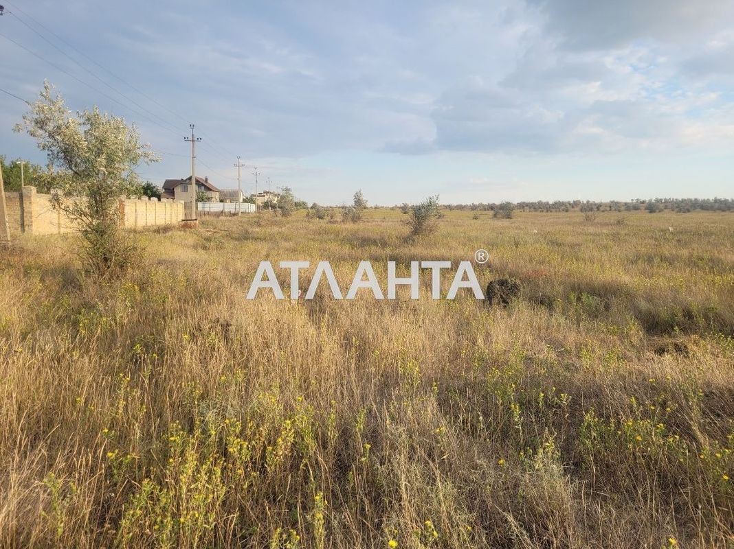 Landplot by the address (area 5 acr) - Atlanta.ua - photo 5