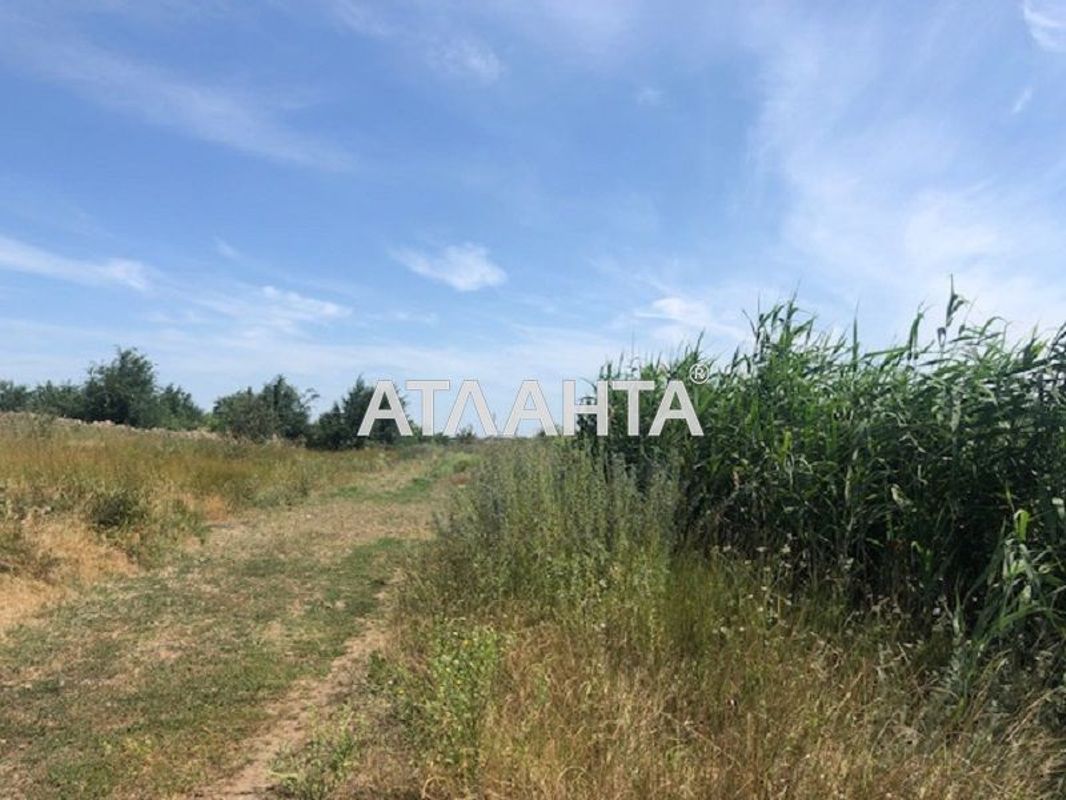 Landplot by the address st. Massiv 24 (area 11 acr) - Atlanta.ua - photo 3