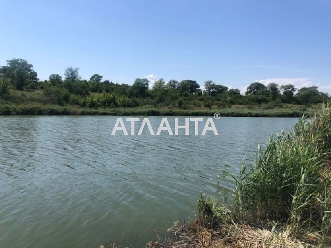Landplot by the address st. Massiv 24 (area 11 acr) - Atlanta.ua - photo 4