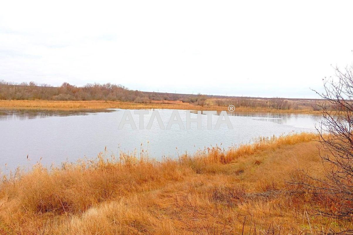 Landplot by the address st. Shevchenko (area 17,5 acr) - Atlanta.ua - photo 4