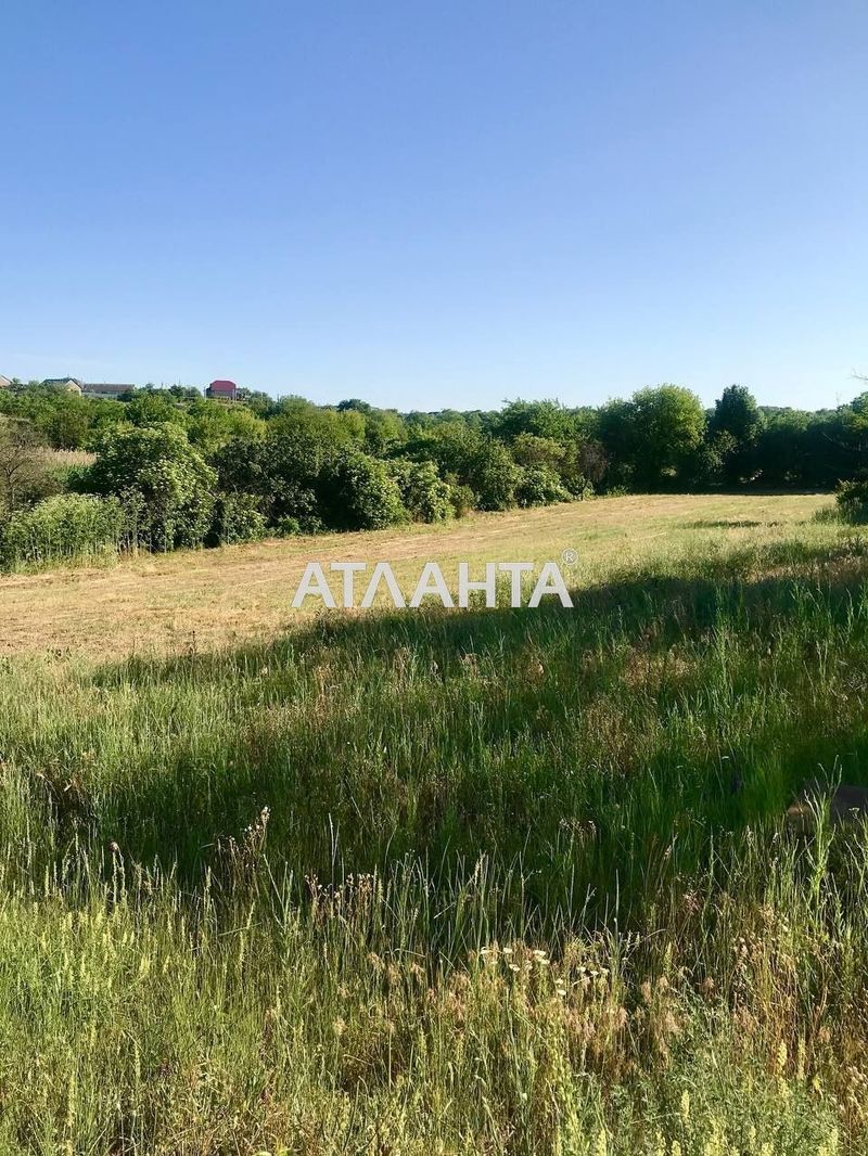 Landplot by the address st. Vodyanoy per (area 25 acr) - Atlanta.ua - photo 2