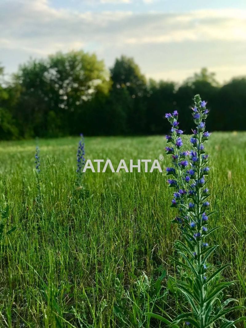 Участок по адресу Водяной пер. (площадь 25 сот) - Atlanta.ua - фото 2
