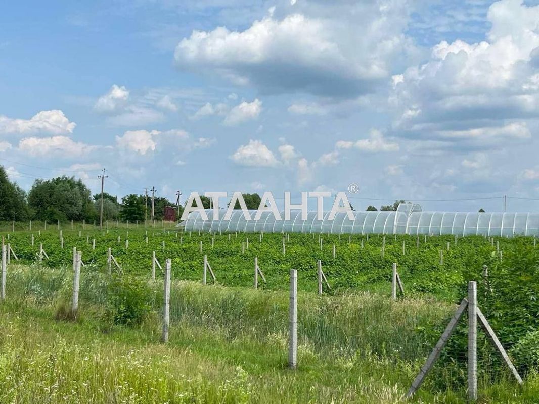 Commercial real estate at st. Shevchenko (area 1000 m²) - Atlanta.ua - photo 2