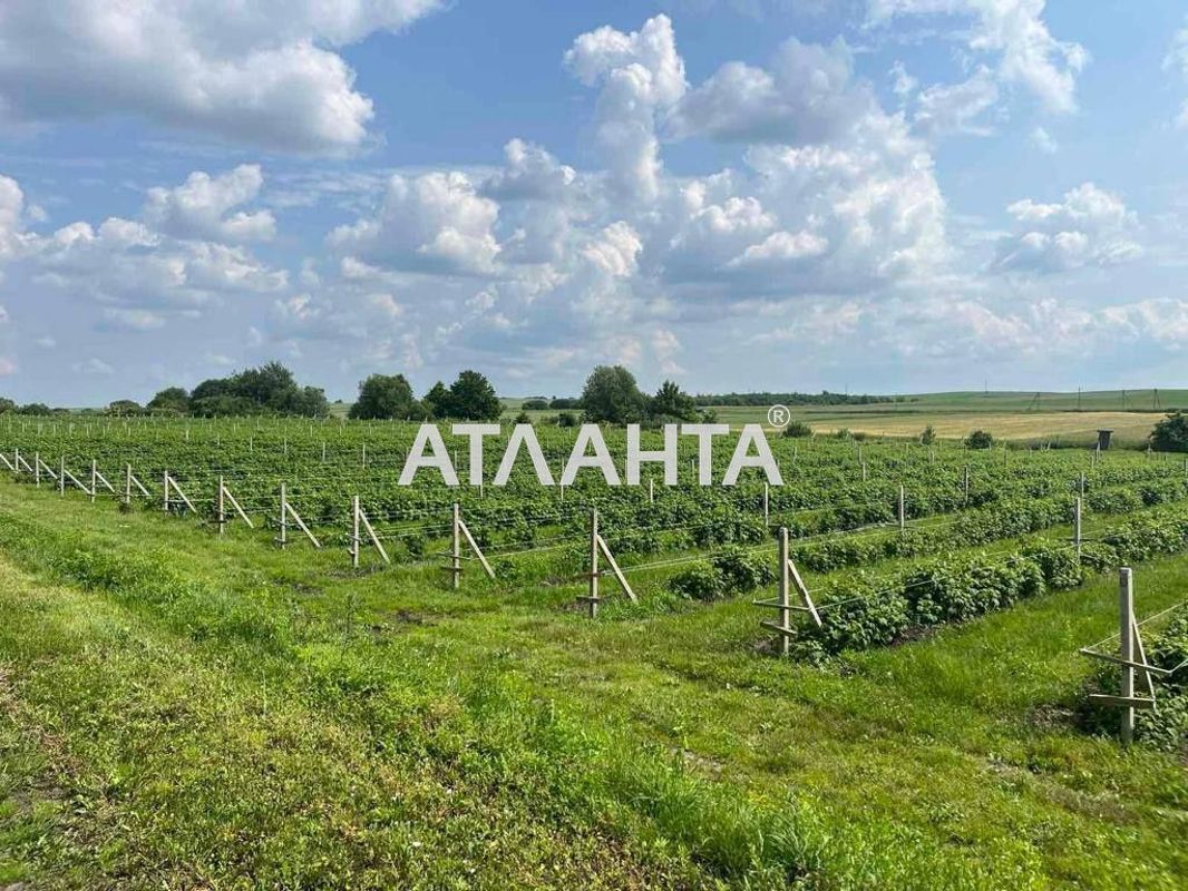 Commercial real estate at st. Shevchenko (area 1000 m²) - Atlanta.ua - photo 3