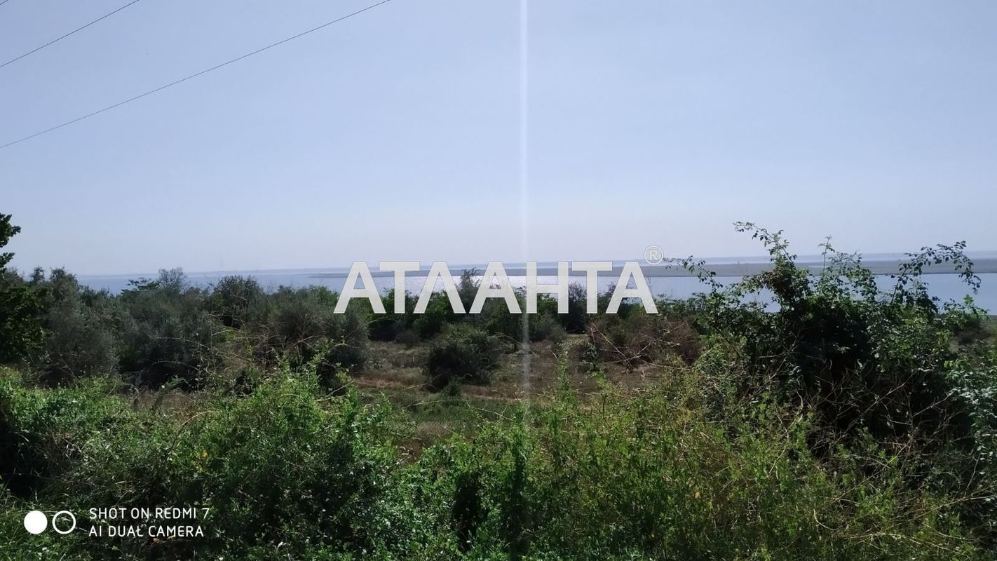 Landplot by the address st. Novoselov (area 29 acr) - Atlanta.ua - photo 6