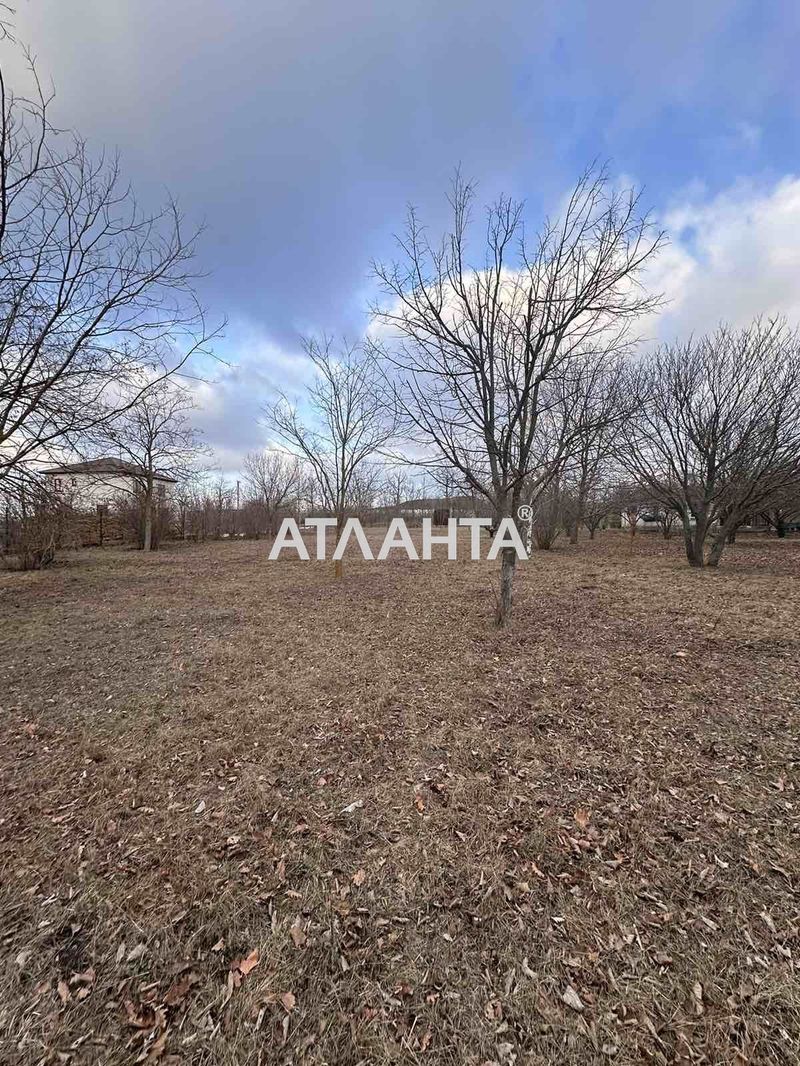 Landplot by the address st. Nikolaevskaya (area 15 acr) - Atlanta.ua - photo 3