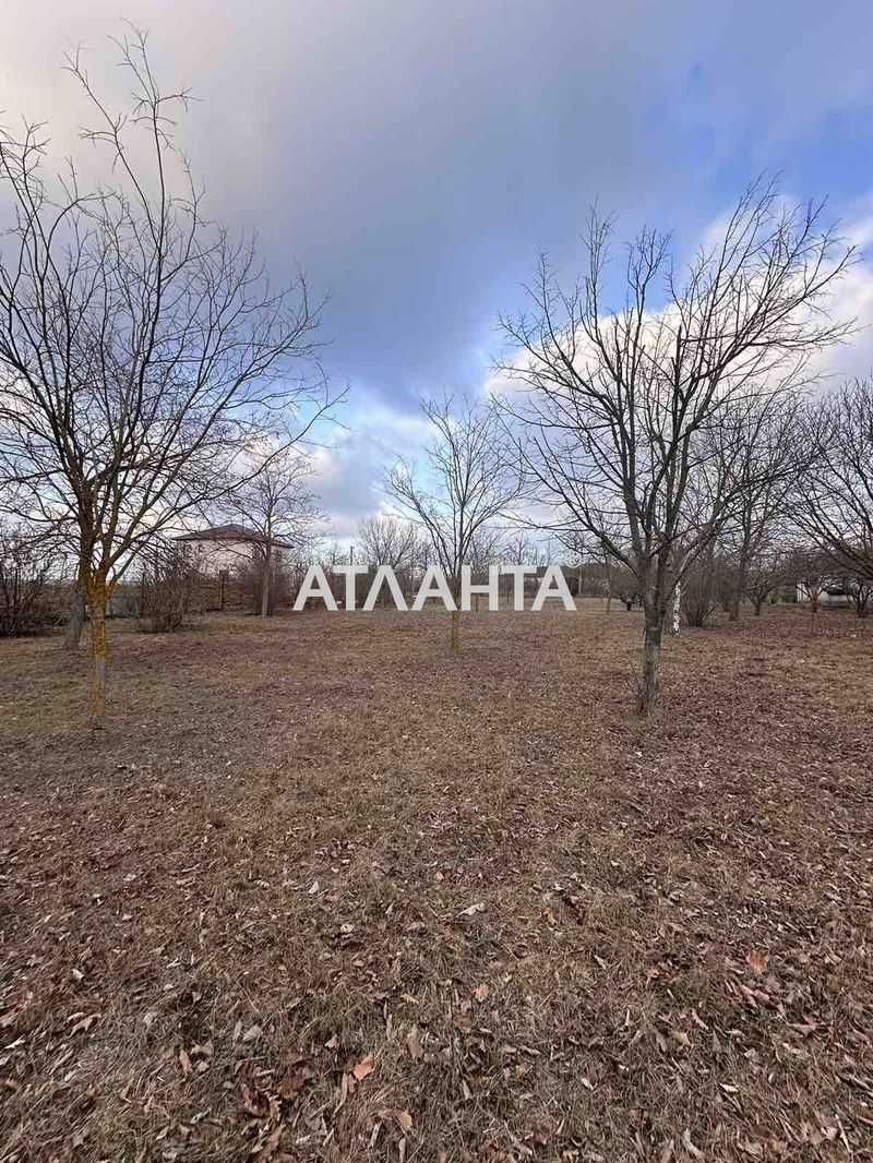 Landplot by the address st. Nikolaevskaya (area 15 acr) - Atlanta.ua - photo 4