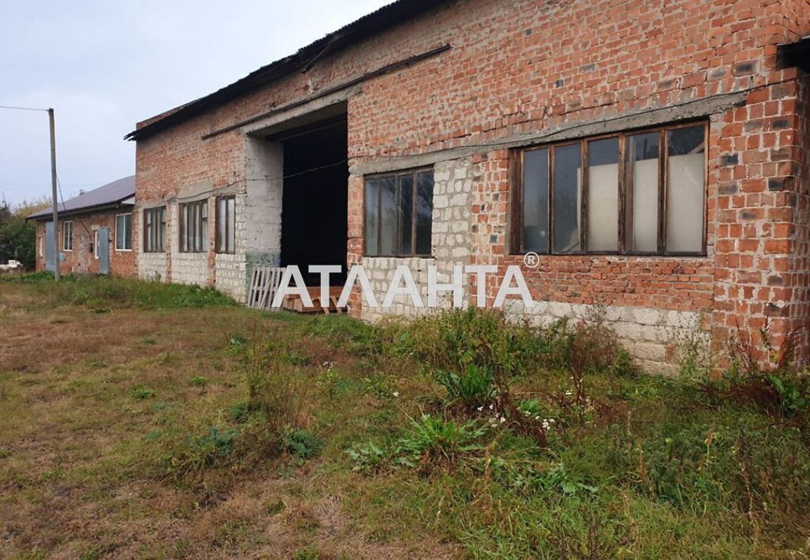 Commercial real estate at st. Golovna (area 850 m²) - Atlanta.ua - photo 3