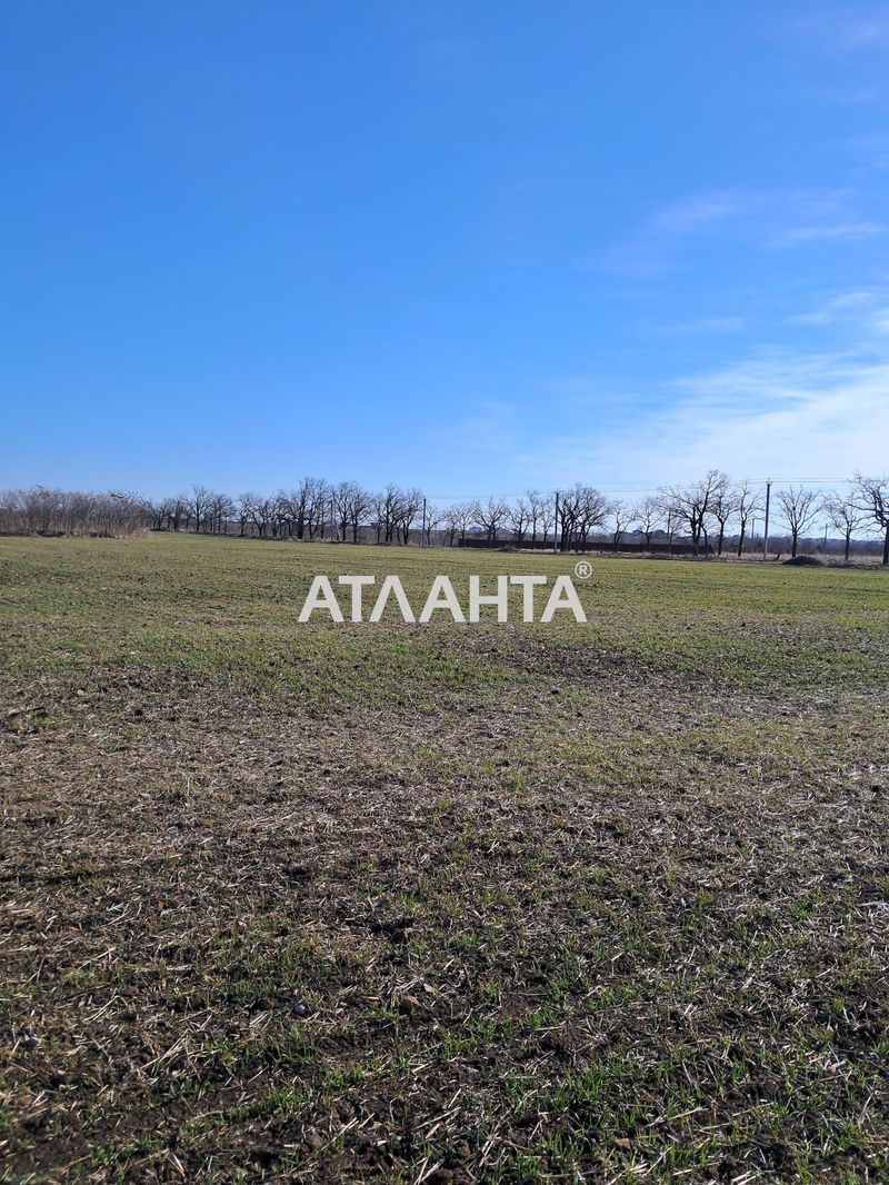 Ділянка за адресою (площа 7,2 сот) - Atlanta.ua - фото 4