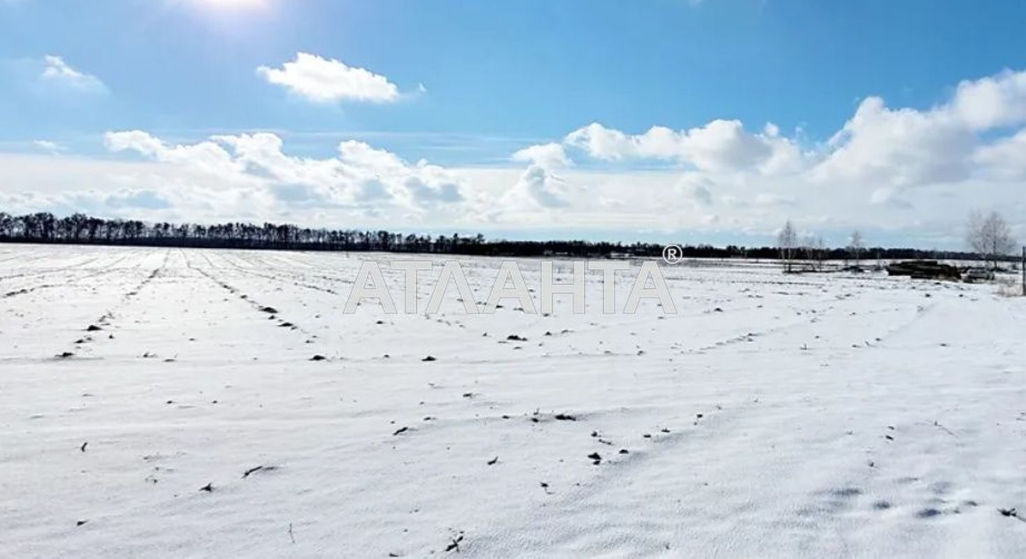 Ділянка за адресою (площа 10 сот) - Atlanta.ua - фото 3