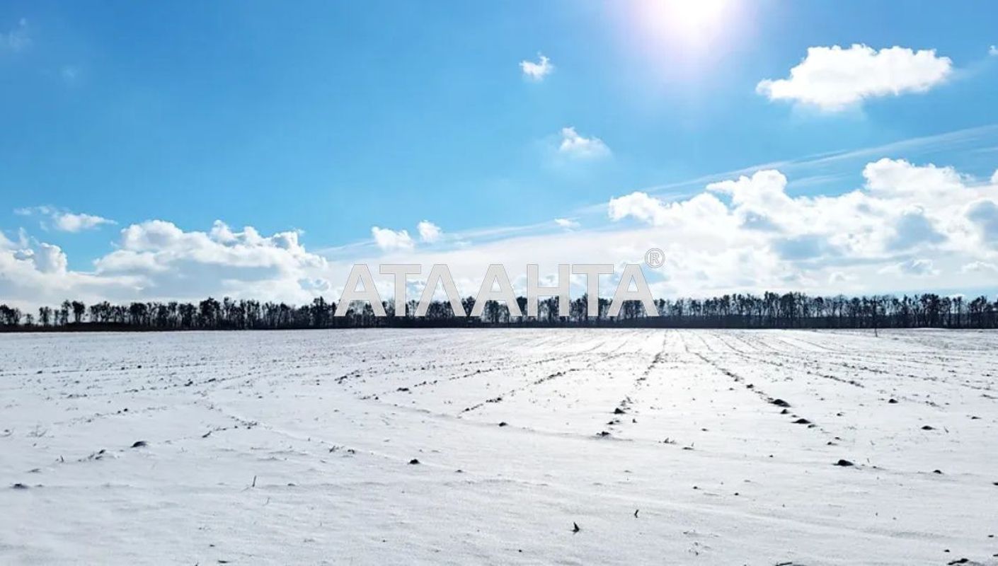 Ділянка за адресою (площа 10 сот) - Atlanta.ua - фото 4