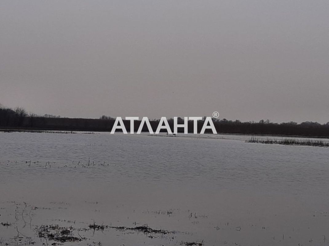 Участок по адресу (площадь 6 сот) - Atlanta.ua - фото 2