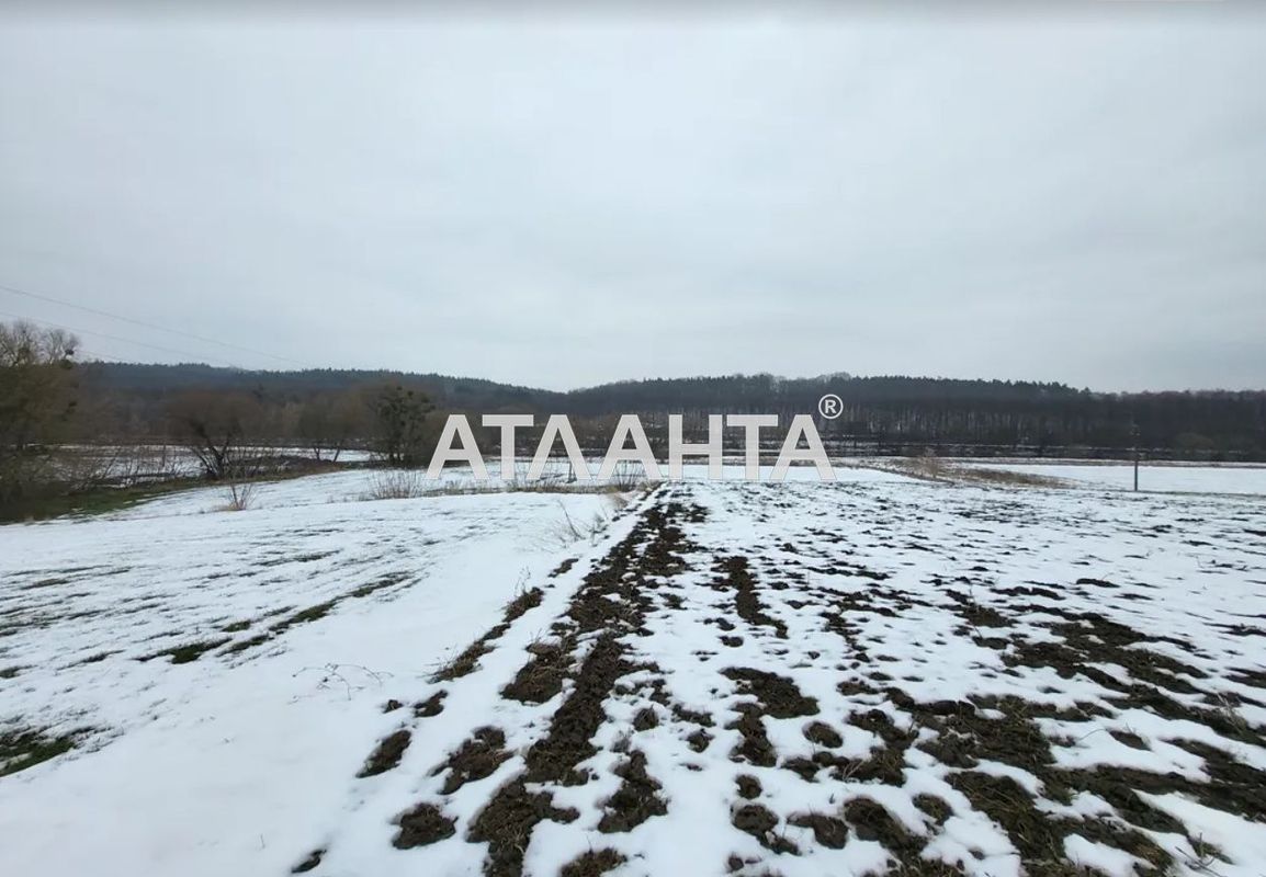 Landplot by the address st. Naberezhnaya (area 13,5 acr) - Atlanta.ua - photo 2