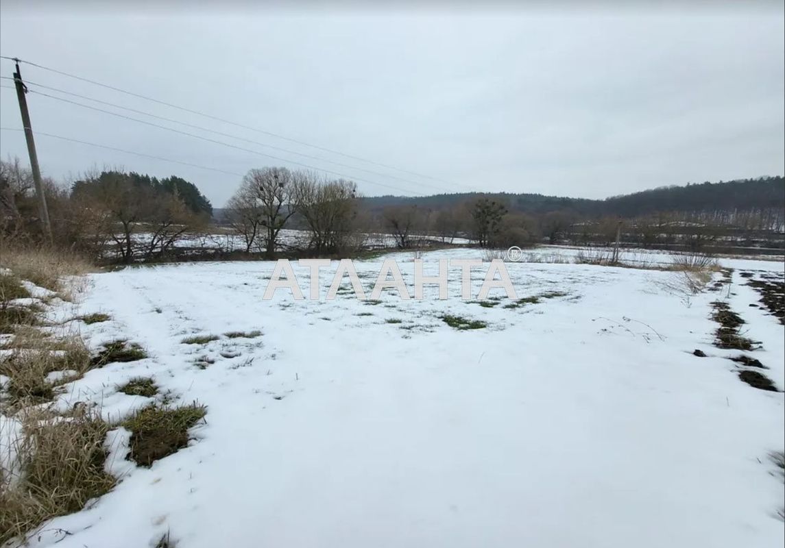 Landplot by the address st. Naberezhnaya (area 13,5 acr) - Atlanta.ua - photo 4