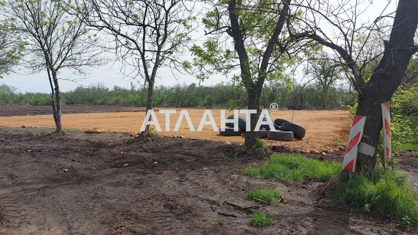 Участок по адресу ул. Центральная (площадь 0) - Atlanta.ua - фото 13
