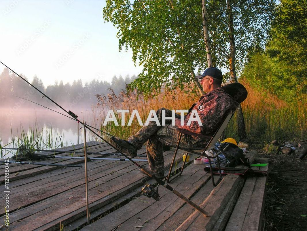 Landplot by the address st. Vasnetsova (area 7,6 acr) - Atlanta.ua - photo 3