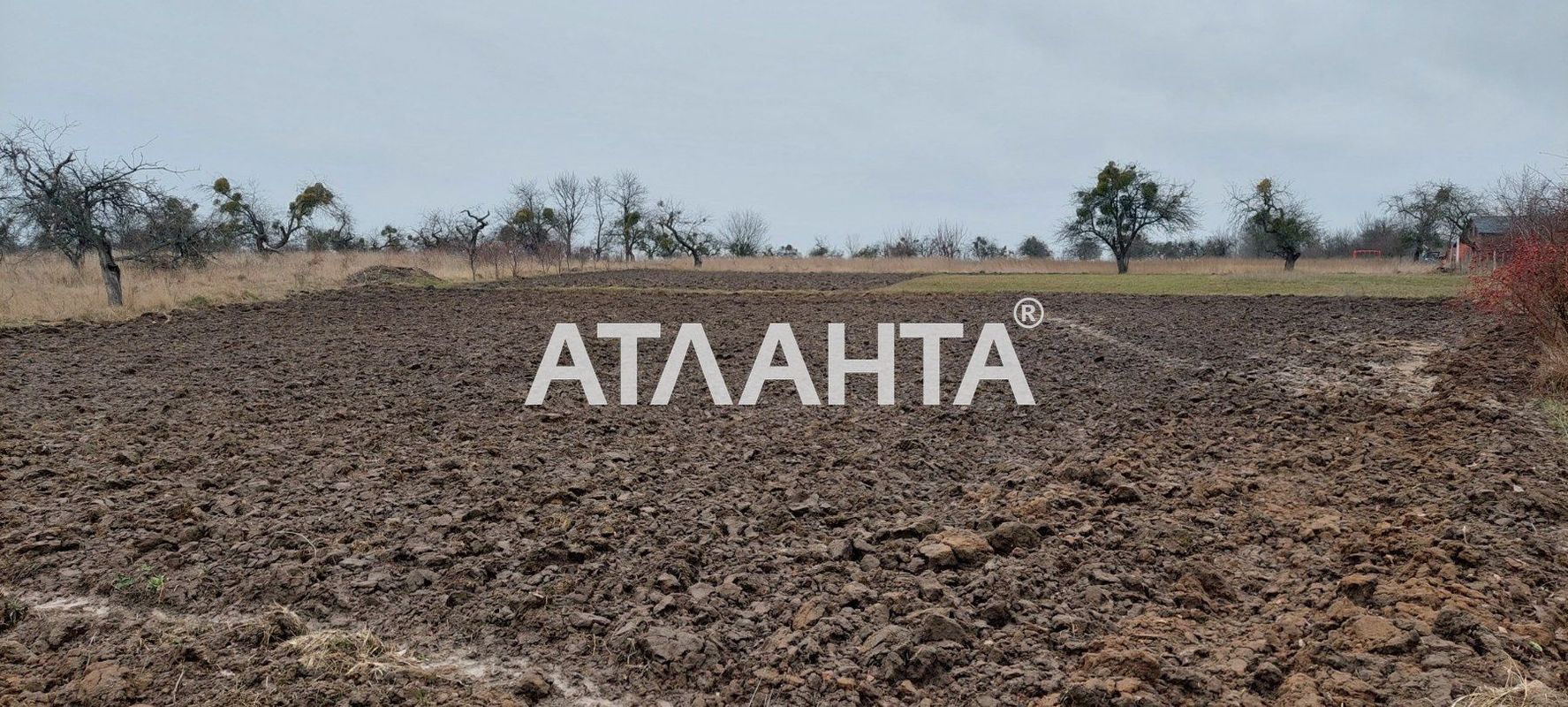 Landplot by the address (area 17 acr) - Atlanta.ua - photo 6