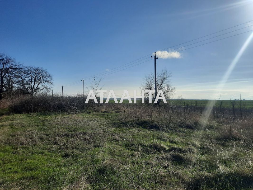 Ділянка за адресою вул. Масив №24 (площа 511 сот) - Atlanta.ua - фото 2