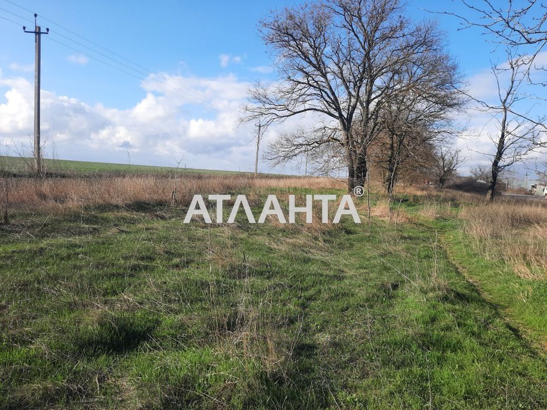 Ділянка за адресою вул. Масив №24 (площа 511 сот) - Atlanta.ua - фото 3