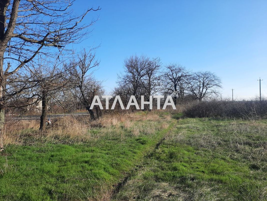 Ділянка за адресою вул. Масив №24 (площа 511 сот) - Atlanta.ua - фото 4