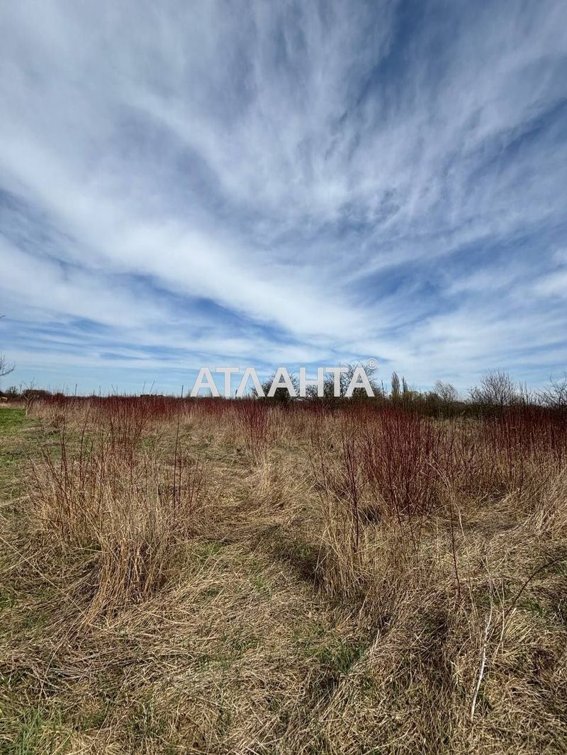 Landplot by the address (area 0,3 acr) - Atlanta.ua - photo 4