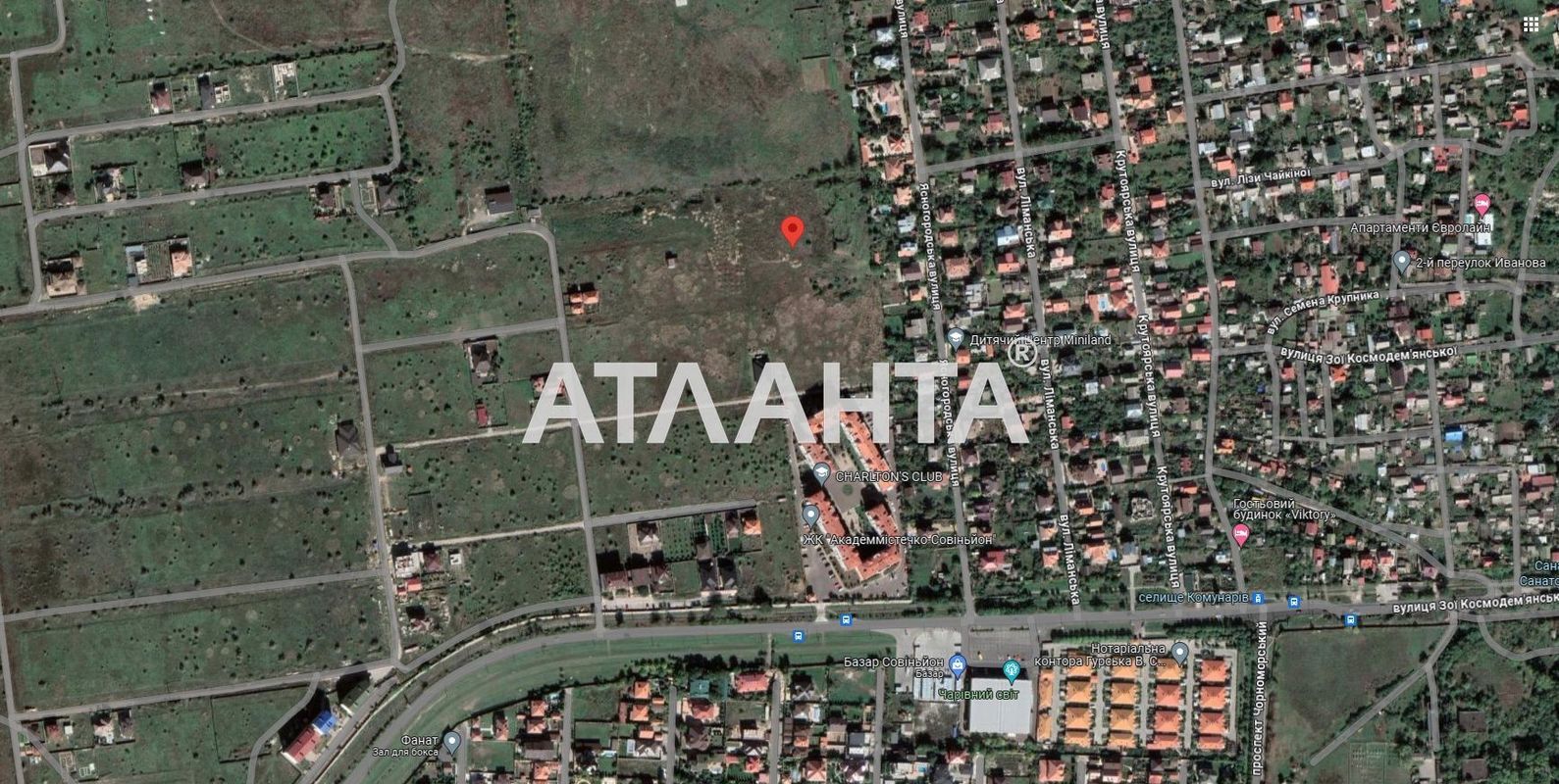 Landplot by the address st. Massiv 23 (area 9,1 acr) - Atlanta.ua - photo 3