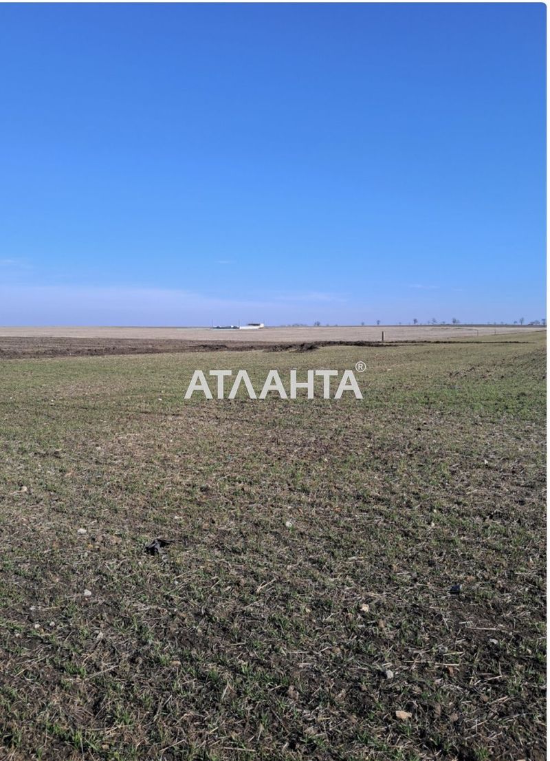 Ділянка за адресою (площа 10 сот) - Atlanta.ua - фото 4