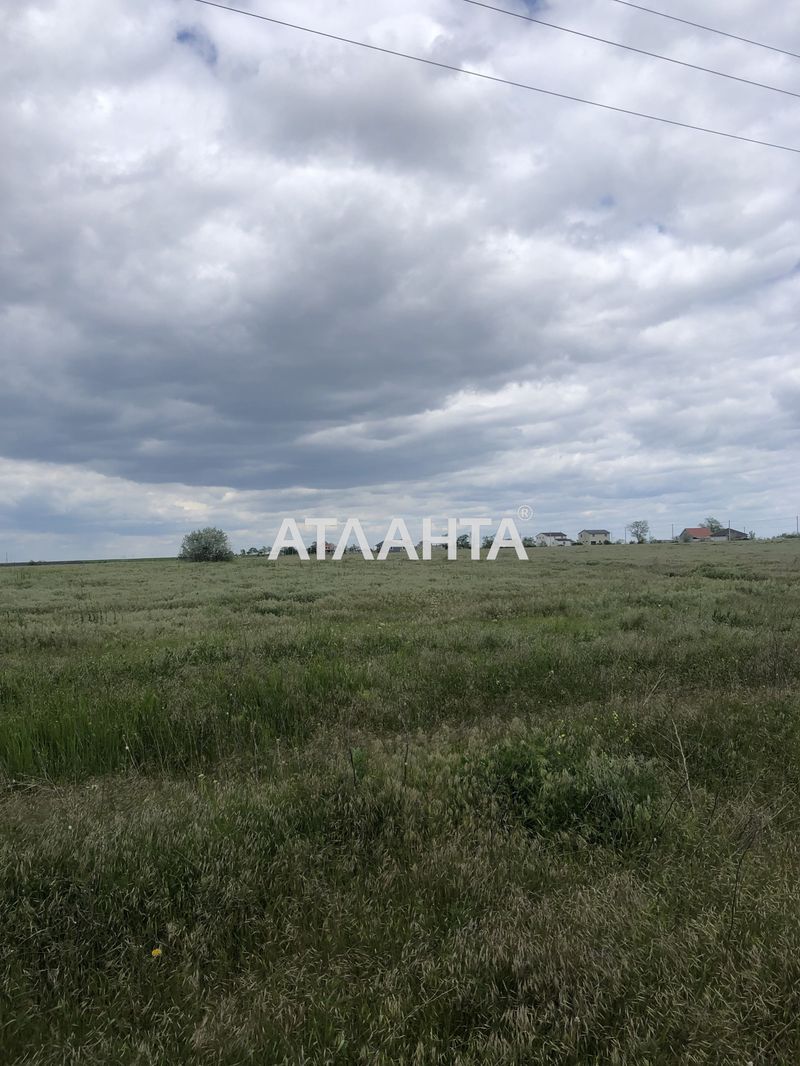 Участок по адресу (площадь 10 сот) - Atlanta.ua - фото 3