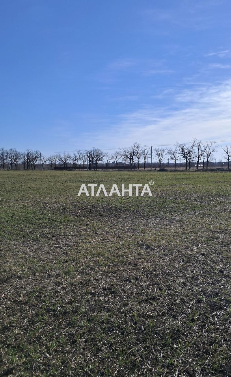 Участок по адресу (площадь 10 сот) - Atlanta.ua - фото 2