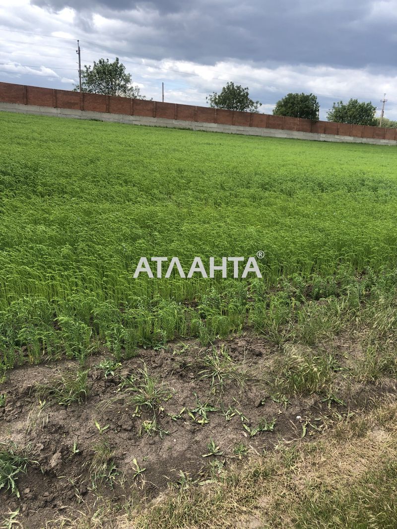 Участок по адресу (площадь 10 сот) - Atlanta.ua - фото 8