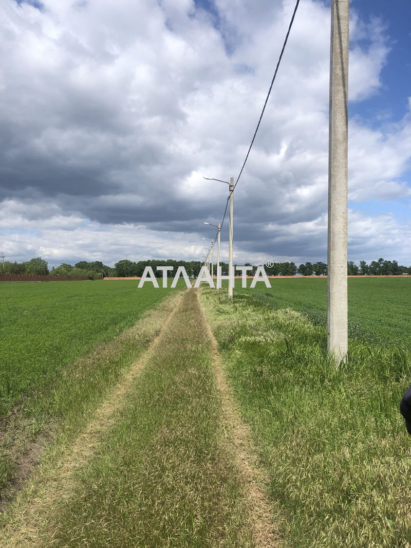 Участок по адресу (площадь 10 сот) - Atlanta.ua - фото 9