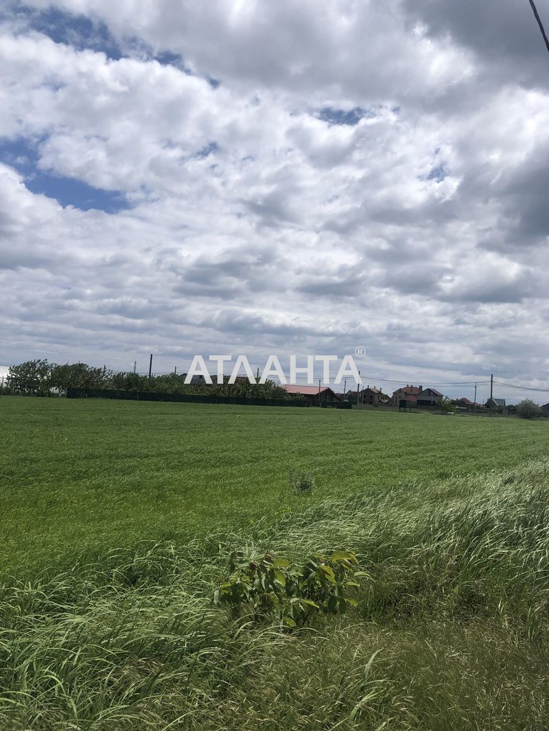 Участок по адресу (площадь 10 сот) - Atlanta.ua - фото 10