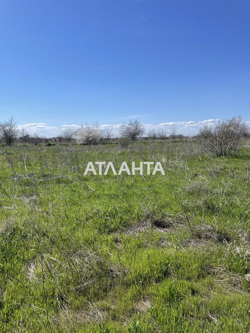 Ділянка за адресою (площа 8,8 сот) - Atlanta.ua - фото 4