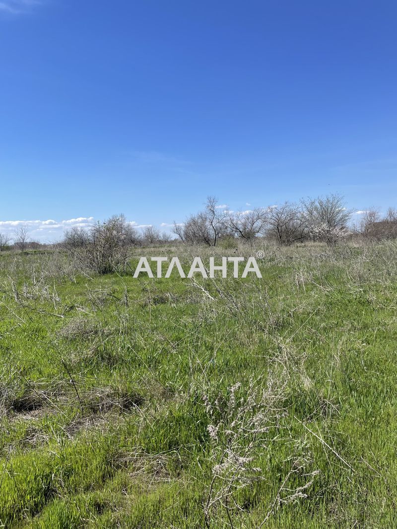 Участок по адресу (площадь 8,8 сот) - Atlanta.ua - фото 7