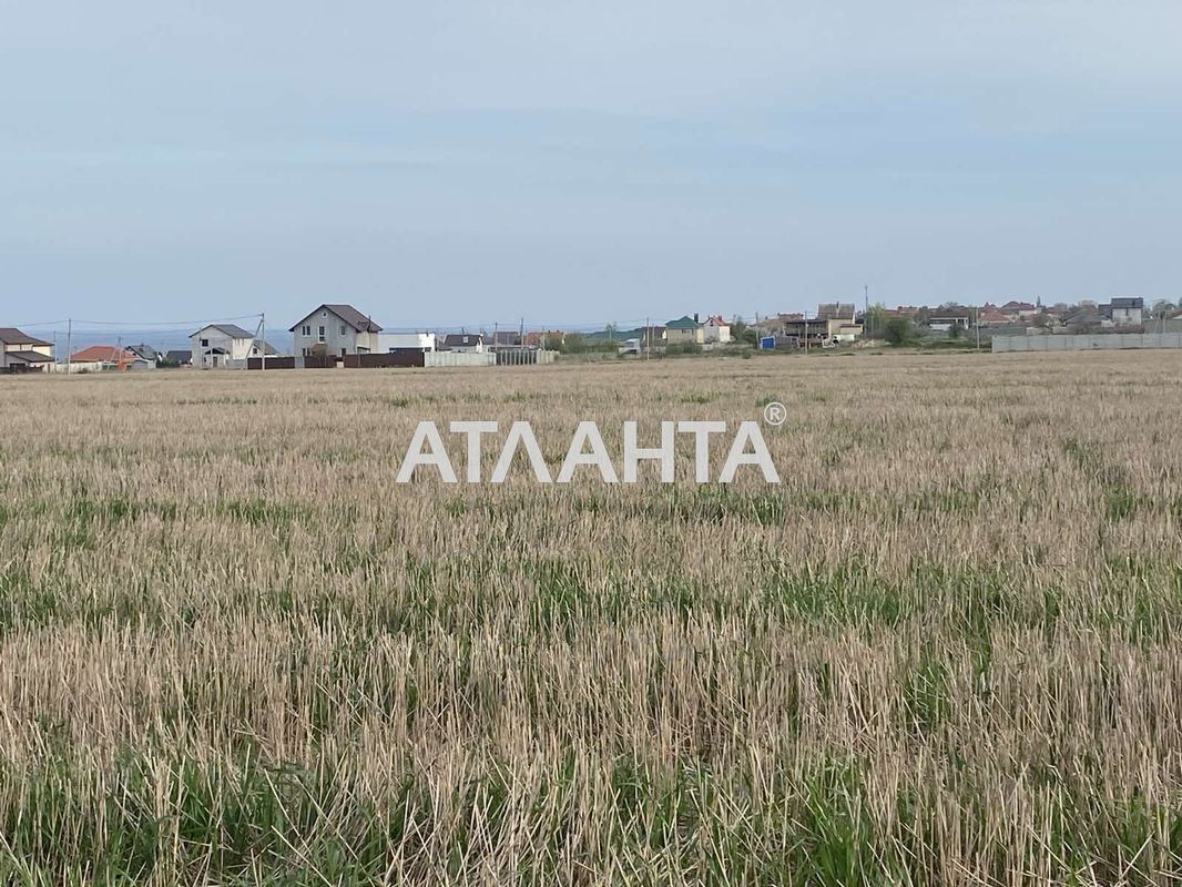 Ділянка за адресою (площа 5 сот) - Atlanta.ua - фото 2