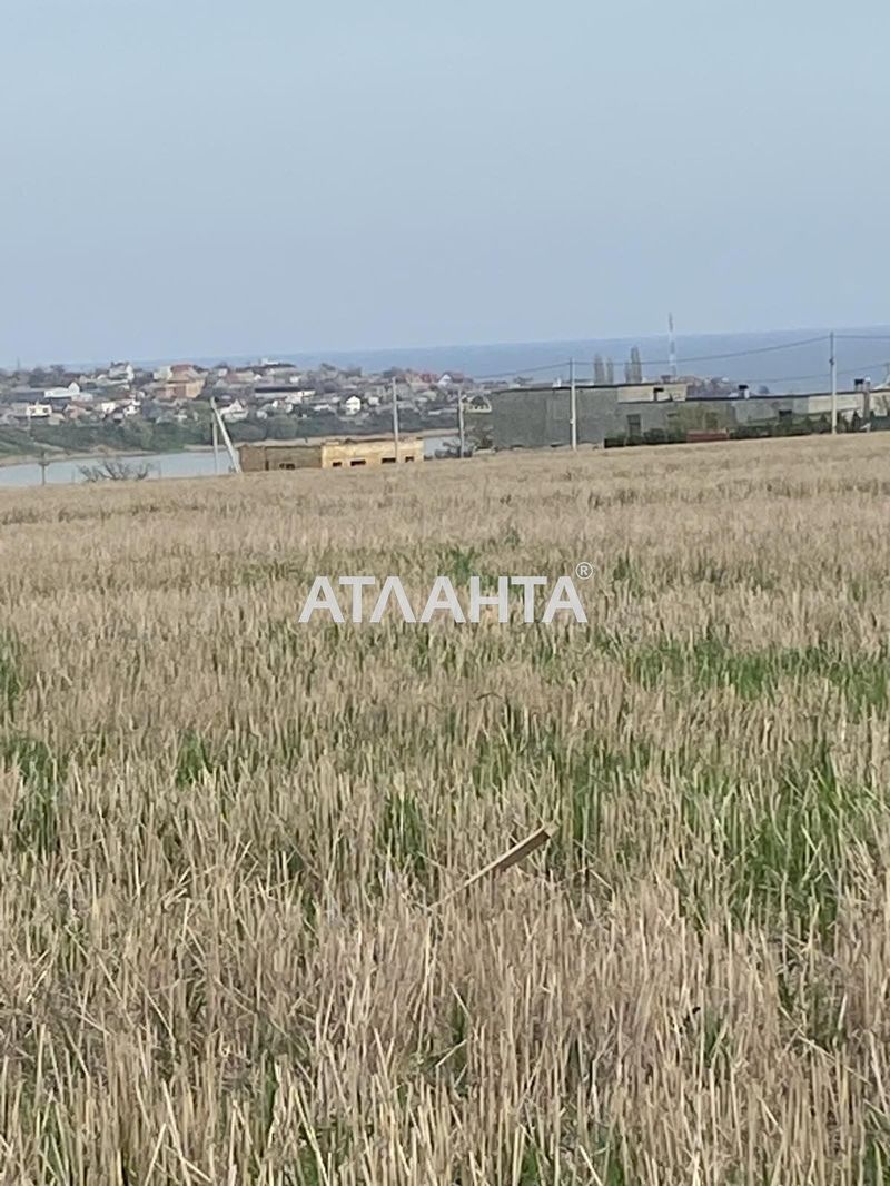 Ділянка за адресою (площа 5 сот) - Atlanta.ua - фото 6
