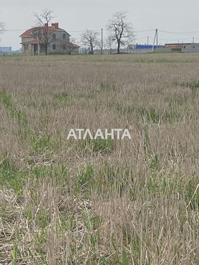 Landplot by the address (area 5 acr) - Atlanta.ua - photo 2