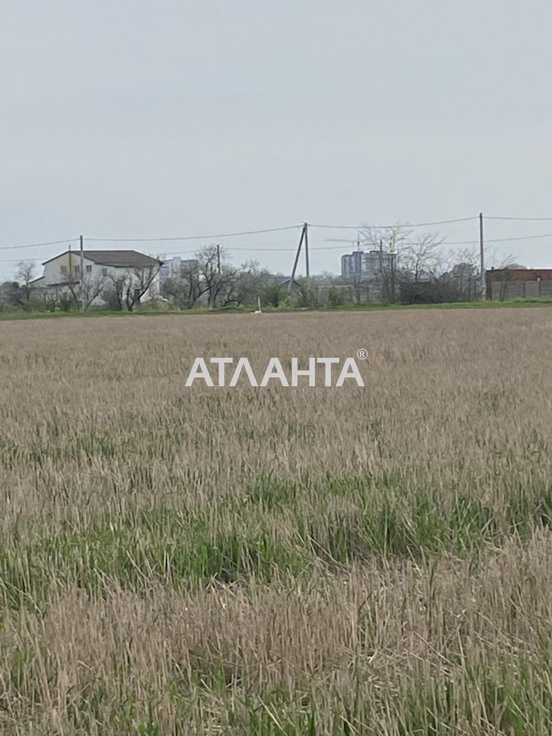 Landplot by the address (area 5 acr) - Atlanta.ua - photo 7