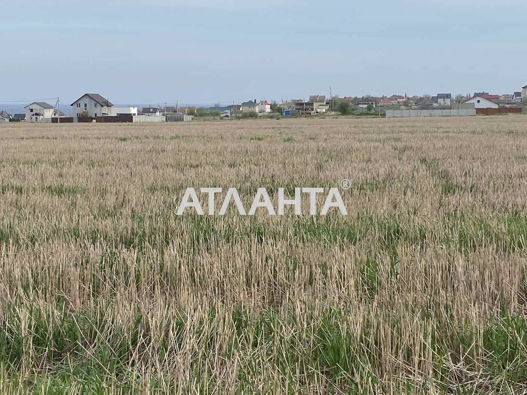 Ділянка за адресою (площа 5 сот) - Atlanta.ua - фото 3